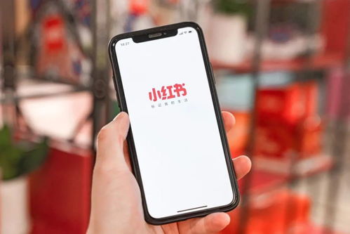 3. 礼物和打赏回放