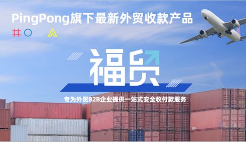 PingPong定制化解决方案，满足不同规模企业需求