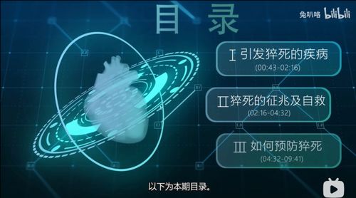 聚焦细分领域， 打造专业内容