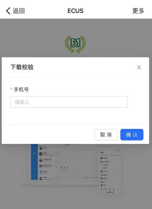 3. 使用插件复制信息