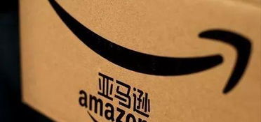 二、价格因素：性价比的权衡