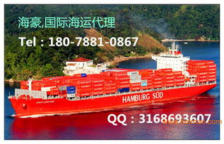 海运与卡派联运体系的实践案例