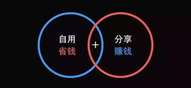 三、 成功之道：产品选择、品牌建设与营销推广