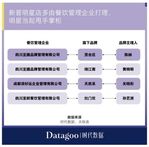 用“比特指纹浏览器”开多个全托管店铺， 多角度测试运营策略