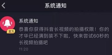 一、 抖音站外播放激励概览