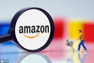 一、 亚马逊跟卖行为的现状与影响