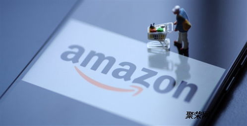 卡派约仓失败与应对措施