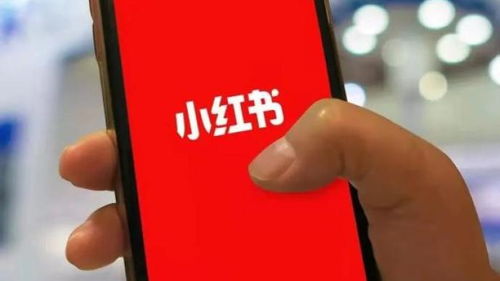 一、新号养几天Ke以发笔记？