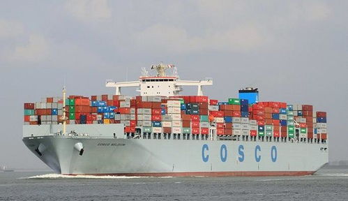 三、 全球知名一级货代公司排名一览