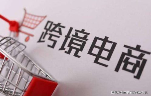 一、 下沉市场：宠物服饰与磨牙玩具的潜力无限