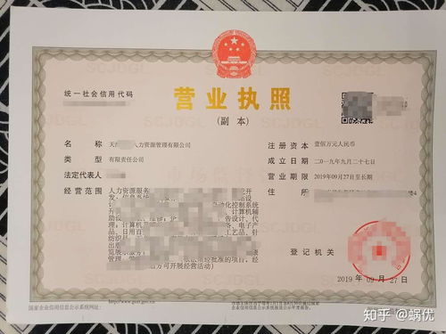 1. 人力资源优势