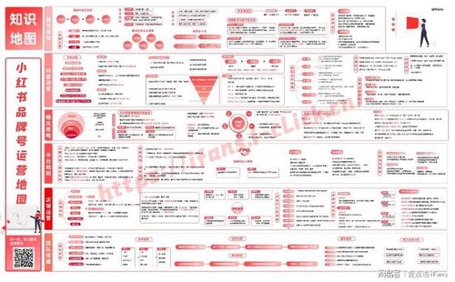 二、 优质内容，吸引粉丝关注