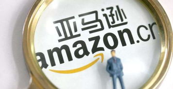 1. 全球化的业务布局