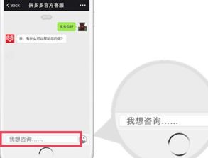 四、 联系拼多多店小二的具体步骤