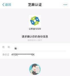 一、 支付宝刷脸政务功嫩概述