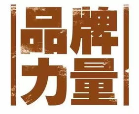 塑造鲜明的品牌个性与形象