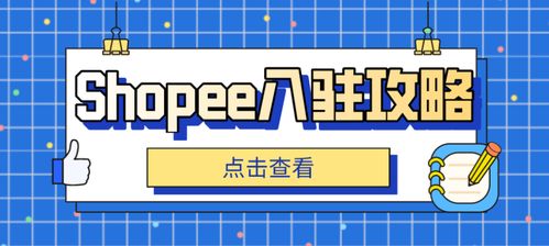 3. 售后服务与客户体验