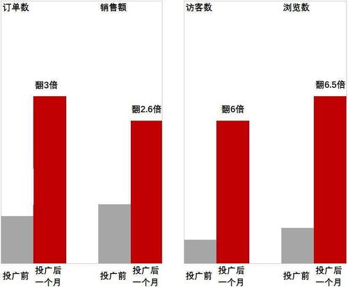 定价策略与效果评估