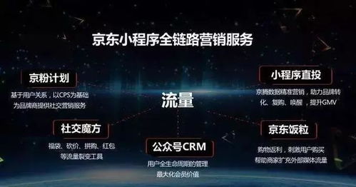 一、 短视频在电商领域的崛起：京东短视频的流量潜力