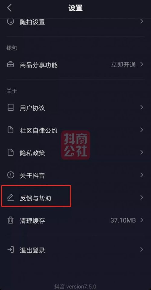 一、抖音蓝V认证概述