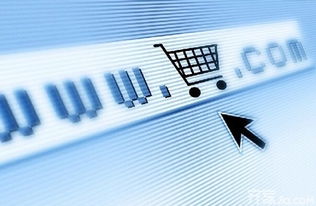 电商浪潮中的视觉呈现：TEMU的独到见解与严格要求