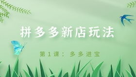 一、 多多进宝新手入门教程概述
