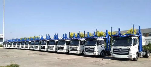 1. 载重智嫩监测系统