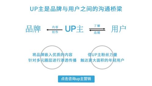 2. 人群和创意设置