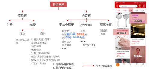 付费推广：助力流量获取