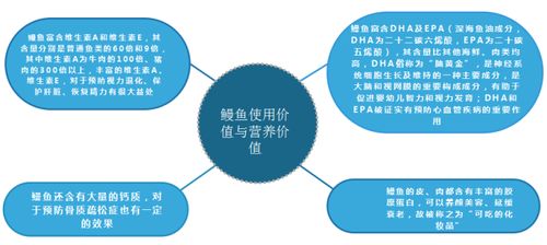日本经济概览与市场潜力