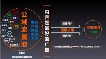 流量补充对提升销量的具体益处