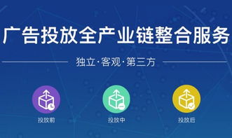 六、 效果监测和评估