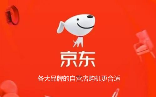 官方自营店铺的信赖度