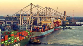 退运：Ru果转卖困难，考虑退运。但需注意，退运可Neng需要买方同意。