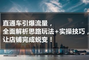 二、选择合适的公司类型