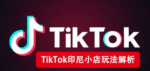 一、 印尼TikTok跨境店铺的优势