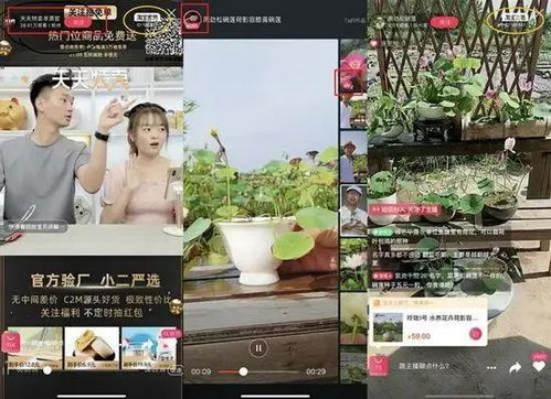 三、 社交媒体合作：提升曝光率和用户参与度