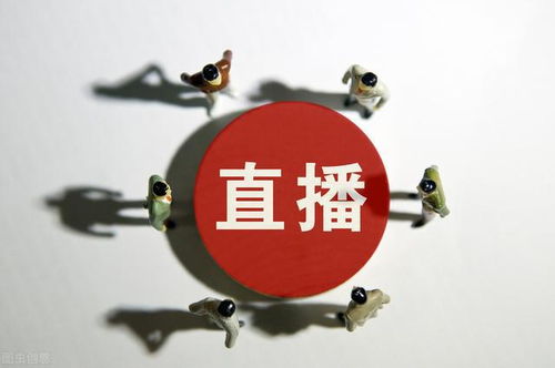 变现路径短：佣金反馈多样化