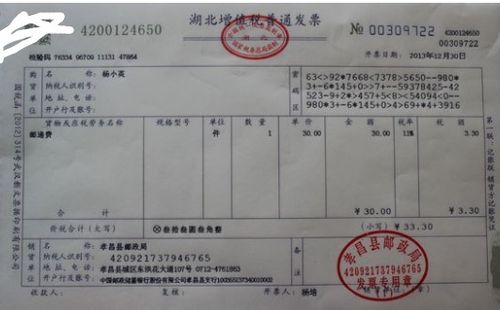 二、 增值税缴纳情况