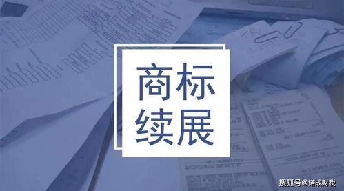 准备材料与审查阶段