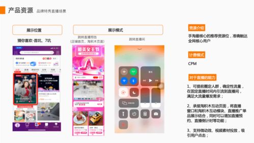 2. 购买流量的可行性