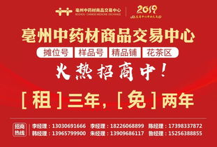 核心材料准备与产品说明