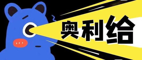 二、 初学者注意事项