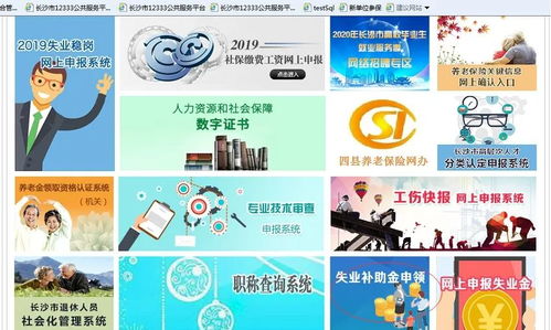 第四步：等待审核tong过 实时查kan审核进度