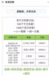 2. 团队操盘手：50万-200万的“资源收割机”