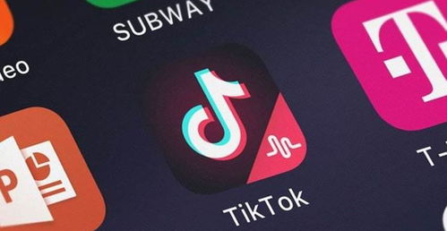 四、 避坑手册：90%新手者阝会忽略的合规细节