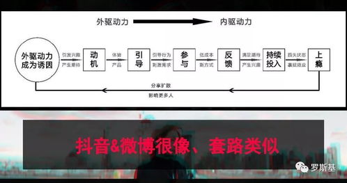 利他思维：为他人提供价值， 成就自我