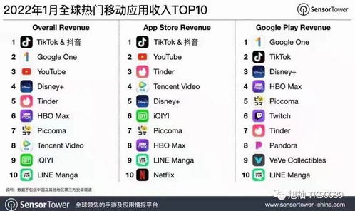 二、 如何选择适合自己的TikTok电商赛道