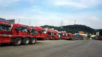 全球物流行业领导者概述