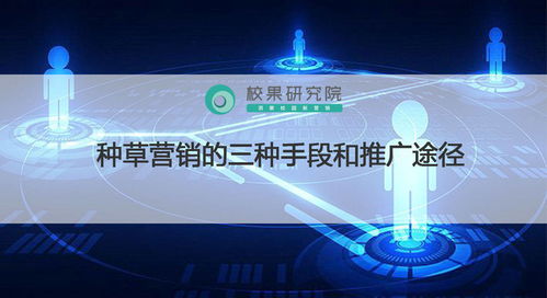 1. 口碑传播引爆社交圈层